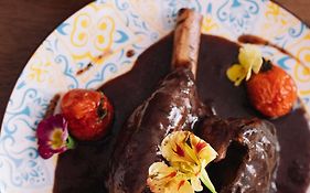 La Fenouillere - Pont du Gard